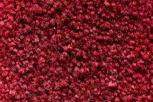 Ковролин AW Masquerade Gaudia 19 фото  | FLOORDEALER